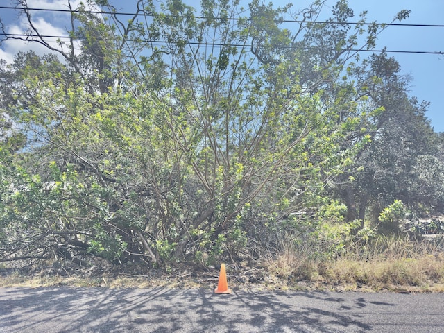 92-8802 Paradise Pkwy, Ocean View, HI 96737 - view of street