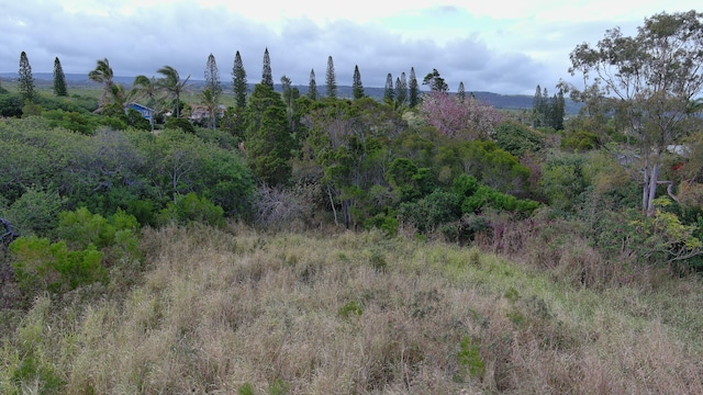 94-5850 Waa Pl, Naalehu, HI 96772