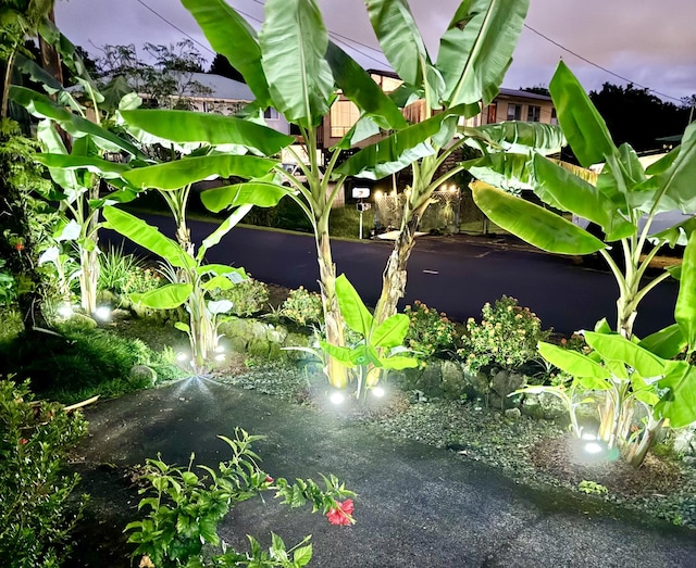 110 Malia St, Hilo, HI 96720 - exterior view of a garden pond