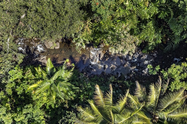 27-296 Kaieie Rd, Papaikou, HI 96781 - view of property location