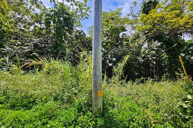 Opihi St, Pahoa, HI 96778