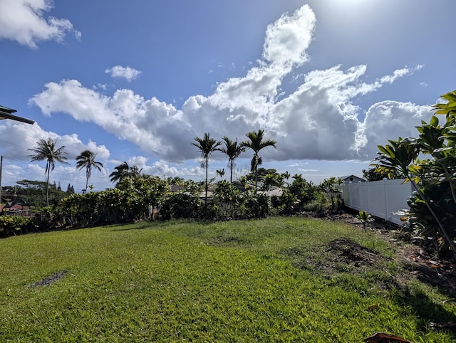 1249 W Kawailani St, Hilo, HI 96720 - view of yard