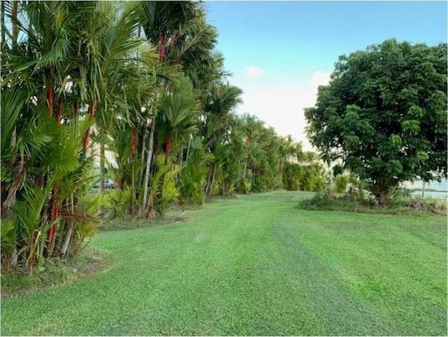 28-2981 Kumula St, Pepeekeo, HI 96783