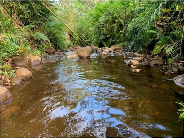 28-2981 Kumula St, Pepeekeo, HI 96783