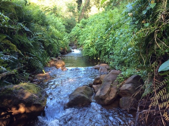 28-2981 Kumula St, Pepeekeo, HI 96783