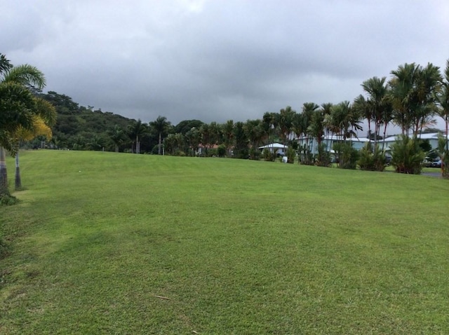 28-2981 Kumula St, Pepeekeo, HI 96783