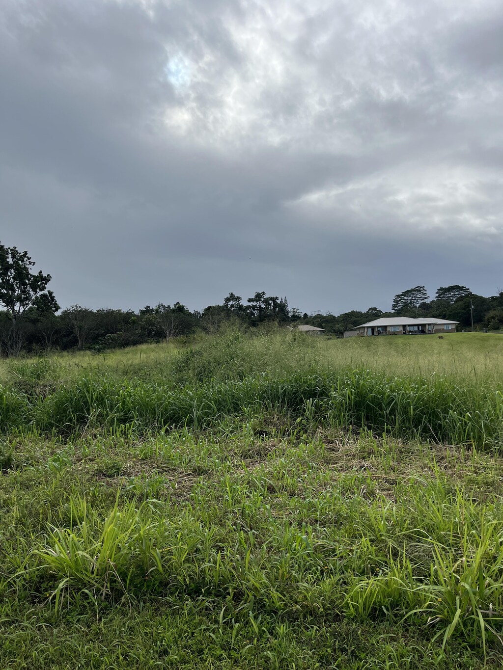 Young Rd, Hilo, HI 96720 - photo 1