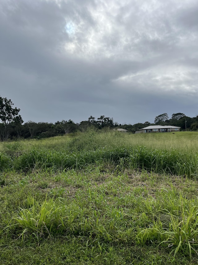 Young Rd, Hilo, HI 96720 - photo 1