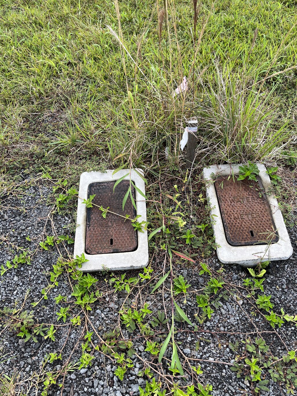 Young Rd, Hilo, HI 96720 - photo 3