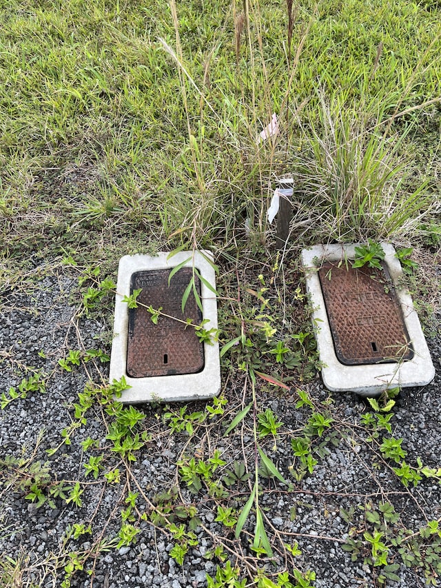 Young Rd, Hilo, HI 96720 - photo 3