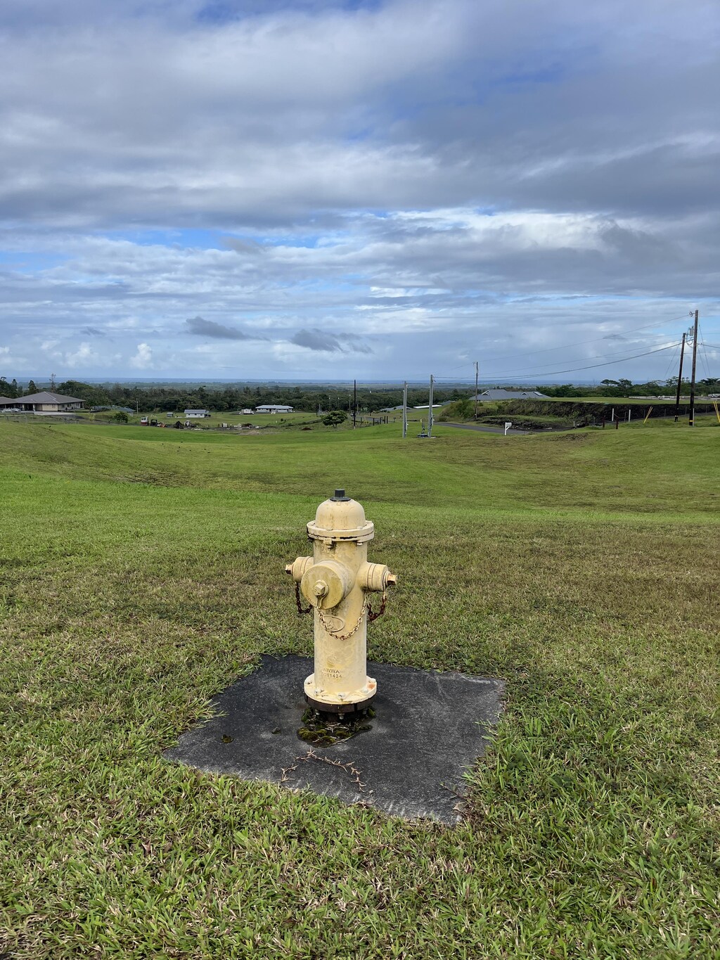 Young Rd, Hilo, HI 96720 - photo 4