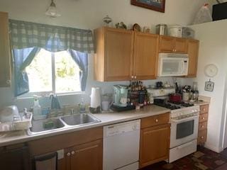 77-6316 Mamalahoa Hwy, Kailua-Kona, HI 96740 - photo 17