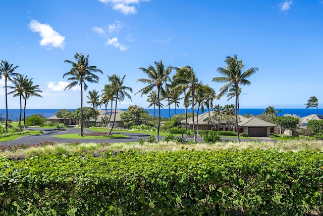 62-3600 Amaui Pl Unit F102, Kamuela, HI 96743 - surrounding community featuring a water view and a garage