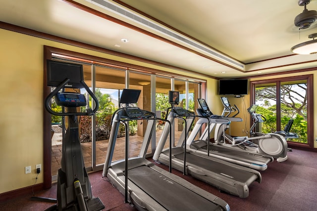 62-3600 Amaui Pl Unit F102, Kamuela, HI 96743 - exercise room featuring plenty of natural light and a tray ceiling