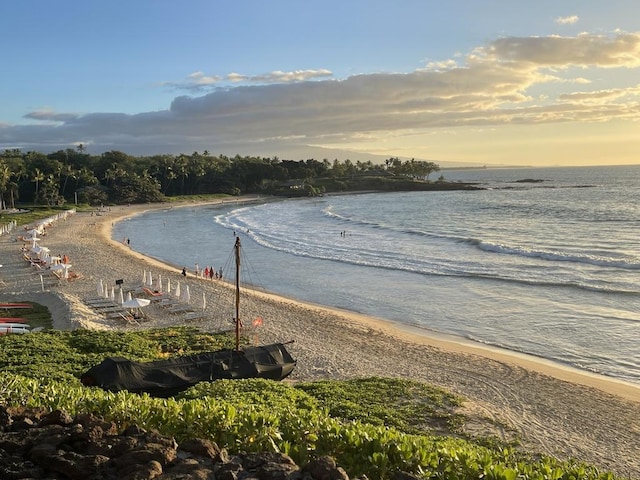 62-3600 Amaui Pl Unit F102, Kamuela, HI 96743 - water view featuring local beach