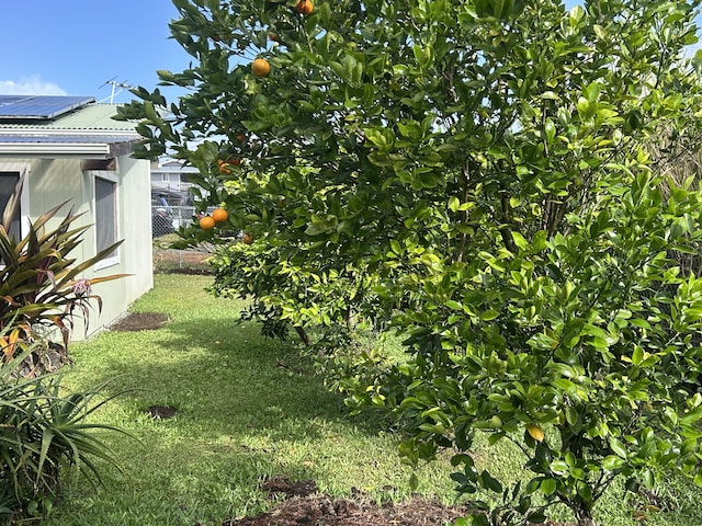 16-2164 King Kamehamhea Blvd, Pahoa, HI 96778 - photo 25