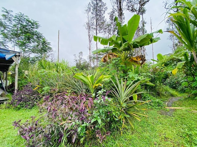 16-1588 Io Kea Rd, Mountain View, HI 96760