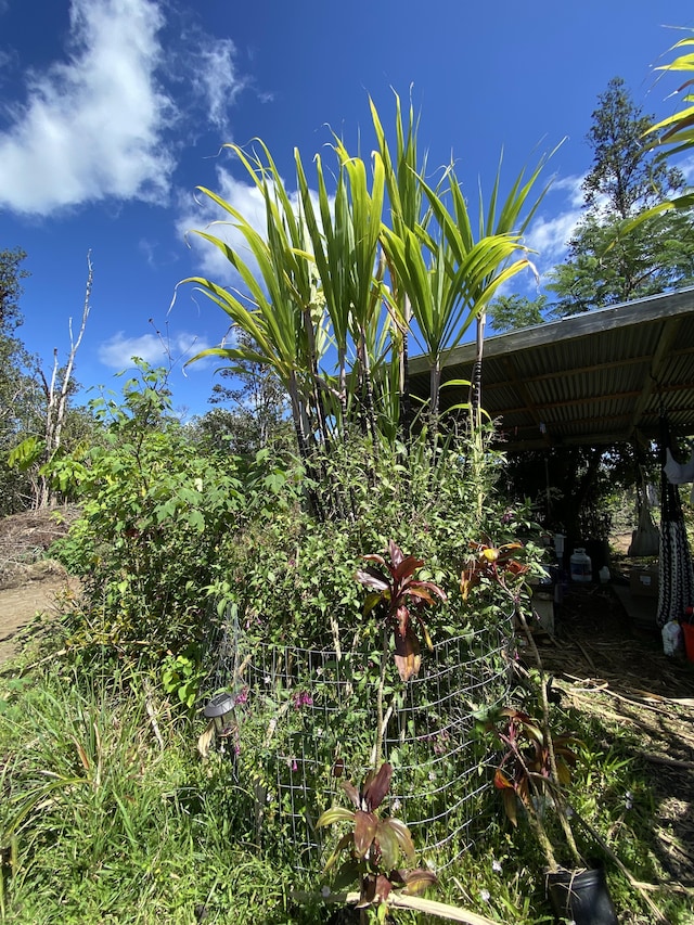 16-1588 Io Kea Rd, Mountain View, HI 96760