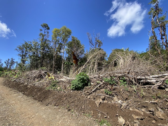 16-1588 Io Kea Rd, Mountain View, HI 96760