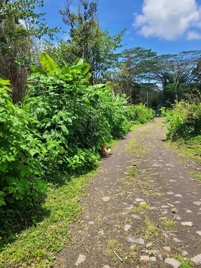 16-1588 Io Kea Rd, Mountain View, HI 96760