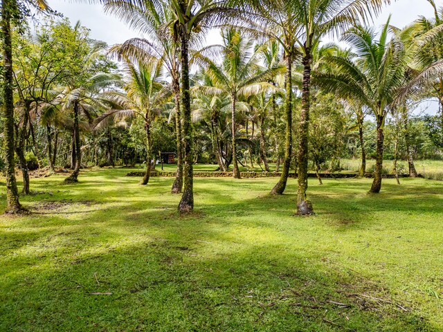 15-1978 9th Ave, Keaau, HI 96749