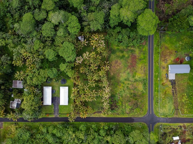 15-1978 9th Ave, Keaau, HI 96749