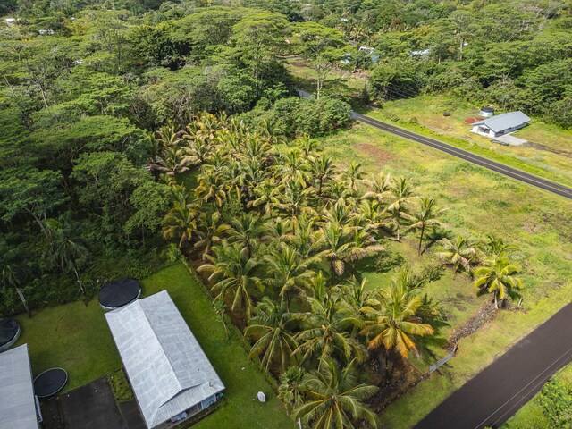 15-1978 9th Ave, Keaau, HI 96749