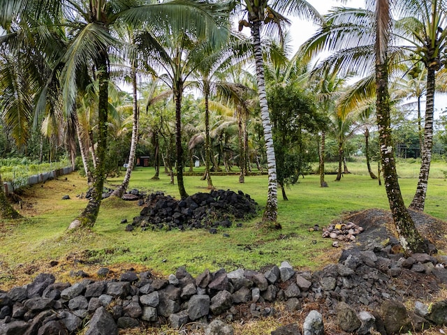 15-1978 9th Ave, Keaau, HI 96749