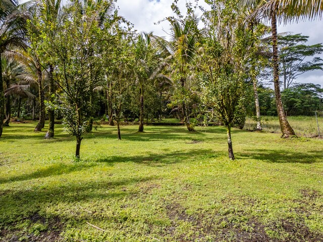 15-1978 9th Ave, Keaau, HI 96749