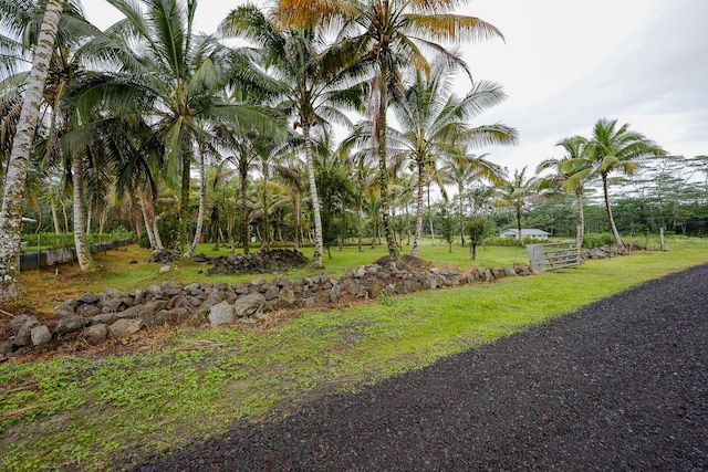 15-1978 9th Ave, Keaau, HI 96749