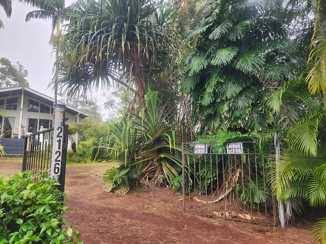 16-2126 Sugarcane Ln, Pahoa, HI 96778 - view of yard