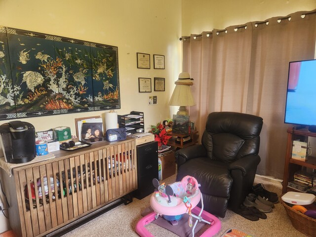 16-2126 Sugarcane Ln, Pahoa, HI 96778 - living room with carpet floors