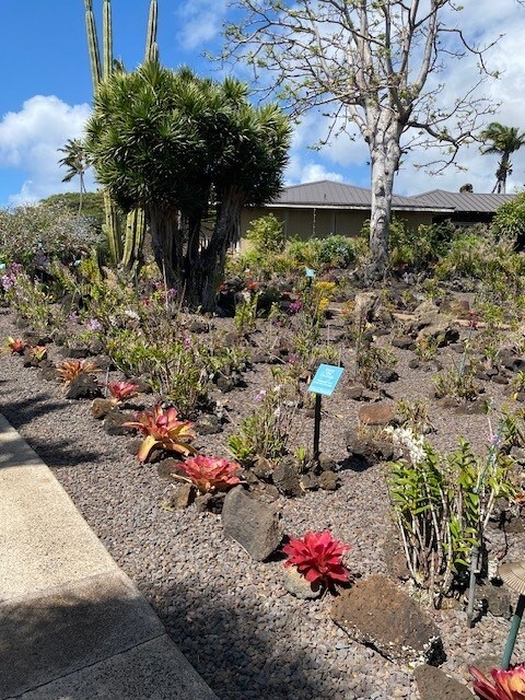 2253 Poipu Rd Unit 207, Koloa, HI 96756 - view of yard