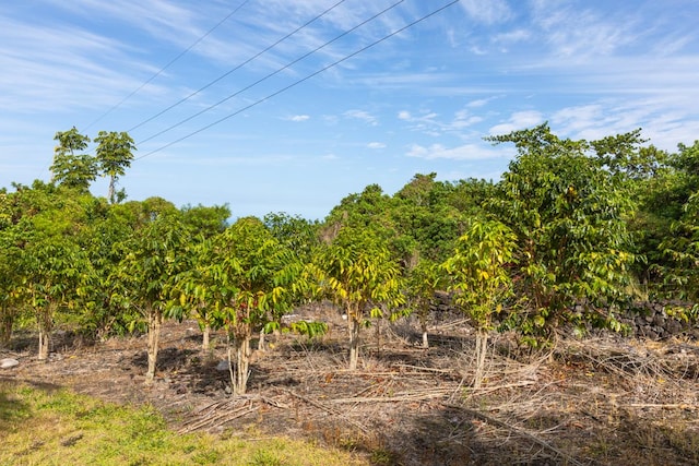 73-1125 Hamanamana St, Kailua-Kona, HI 96740 - view of nature