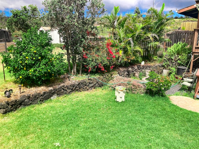 92-8744 Trade Wind Blvd, Ocean View, HI 96737 - view of yard