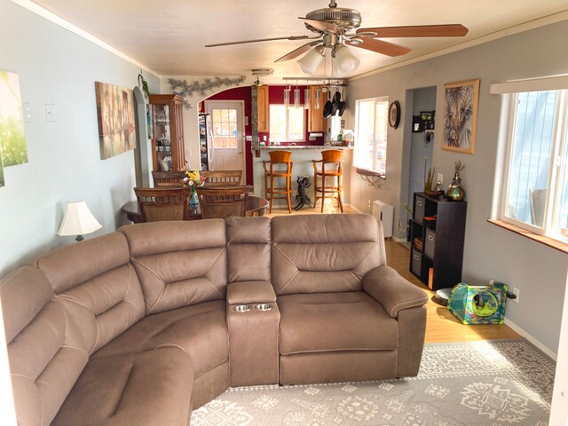 92-8744 Trade Wind Blvd, Ocean View, HI 96737 - living room with ceiling fan, plenty of natural light, ornamental molding, wood finished floors, and baseboards