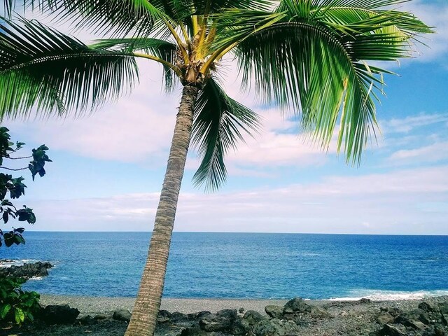 Hawaii Belt Rd, Captain Cook, HI 96704 - photo 7