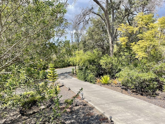 92-8414 Bamboo Ln, Ocean View, HI 96737 - view of community