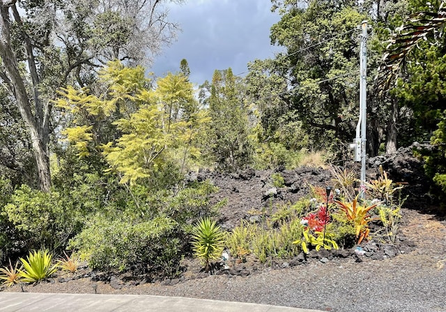 92-8414 Bamboo Ln, Ocean View, HI 96737 - view of undeveloped land