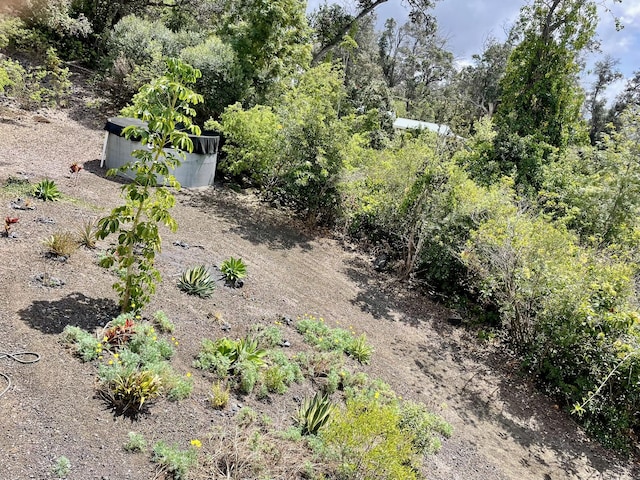 92-8414 Bamboo Ln, Ocean View, HI 96737 - view of yard