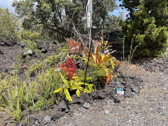 92-8414 Bamboo Ln, Ocean View, HI 96737 - view of local wilderness
