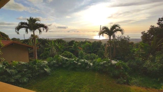 73-4692 Old Mamalahoa Hwy, Kailua-Kona, HI 96740 - view of yard