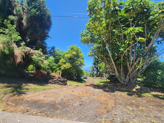 88-1501 Ala Malino Rd, Captain Cook, HI 96704 - view of yard