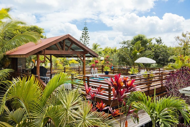 12-160 Moanauli Loop, Pahoa, HI 96778 - surrounding community featuring a gazebo