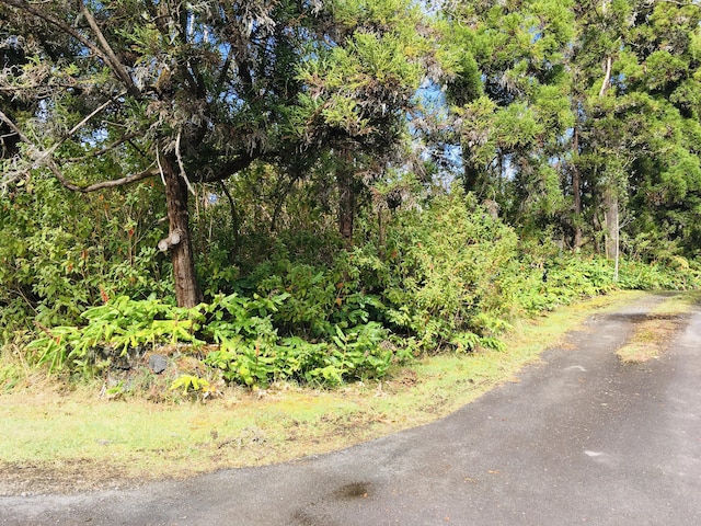 19-3862 Old Volcano Rd, Volcano, HI 96785