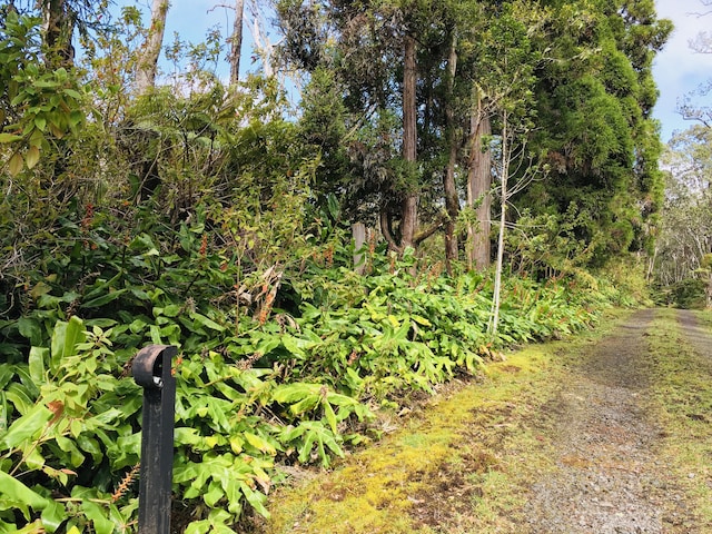 19-3862 Old Volcano Rd, Volcano, HI 96785