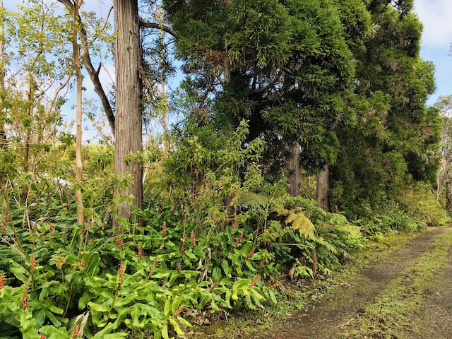 19-3862 Old Volcano Rd, Volcano, HI 96785