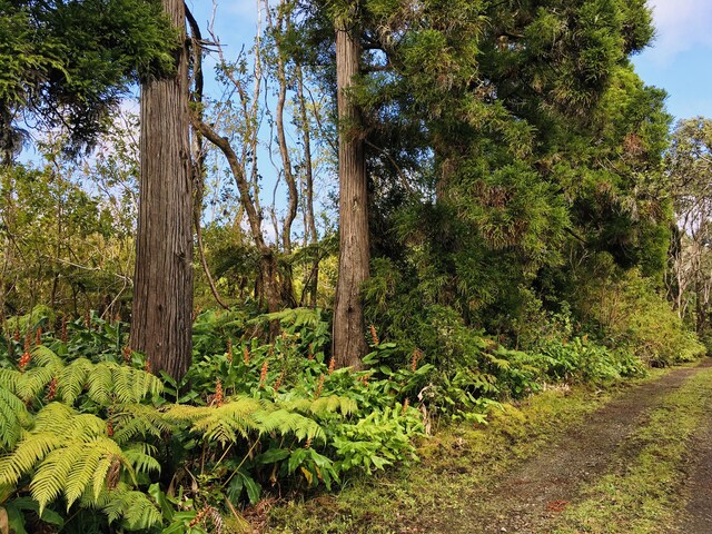 19-3862 Old Volcano Rd, Volcano, HI 96785