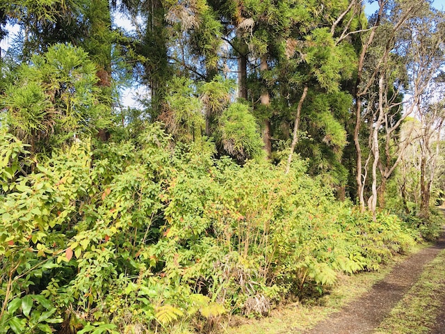 19-3862 Old Volcano Rd, Volcano, HI 96785