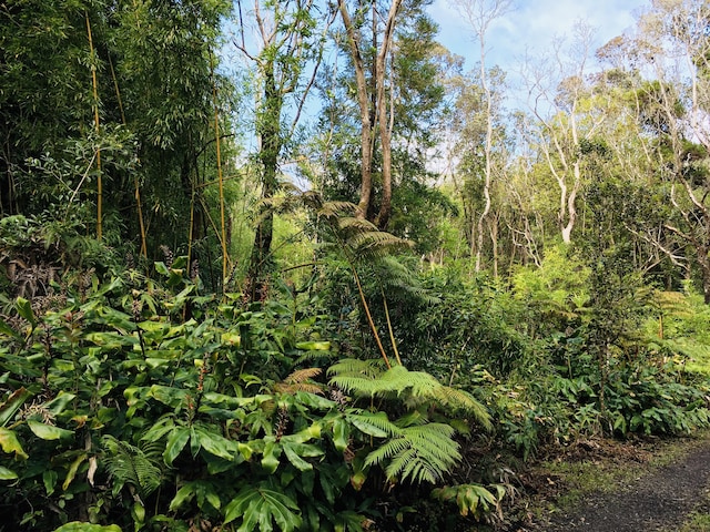 19-3862 Old Volcano Rd, Volcano, HI 96785